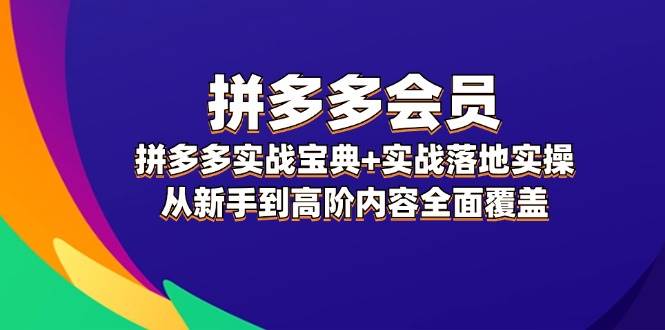 拼多多 会员，拼多多实战宝典+实战落地实操，从新手到高阶内容全面覆盖69网创吧-网创项目资源站-副业项目-创业项目-搞钱项目69网创吧