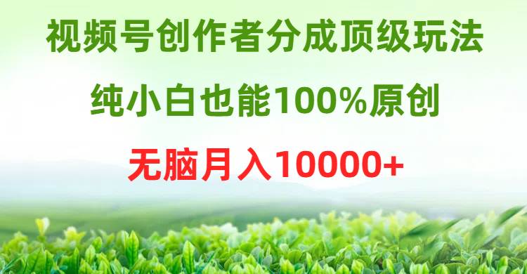 视频号创作者分成顶级玩法,纯小白也能100%原创,无脑月入10000+69网创吧-网创项目资源站-副业项目-创业项目-搞钱项目69网创吧