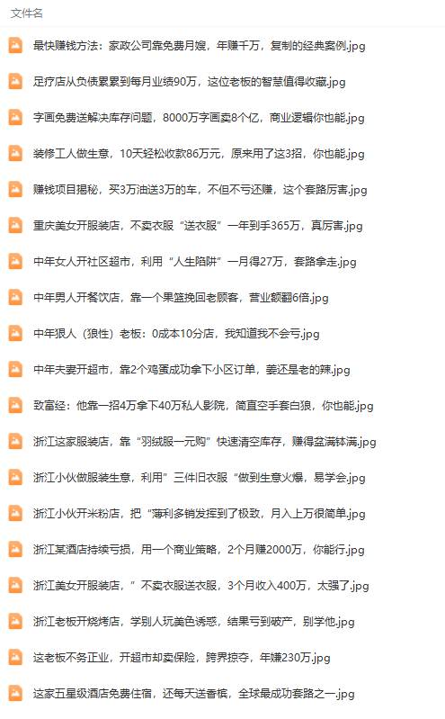 真实有效391套商业模式，年入几十到几百万案例解析（电子书+视频+图文）69网创吧-网创项目资源站-副业项目-创业项目-搞钱项目69网创吧